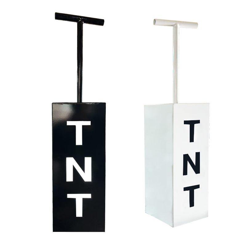 TNT Control Cannon Gender Reve - Confetti Cannon Tube review and price